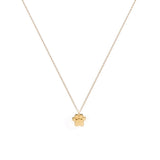 Collar Peques  (Plata .925 con Baño de Oro)