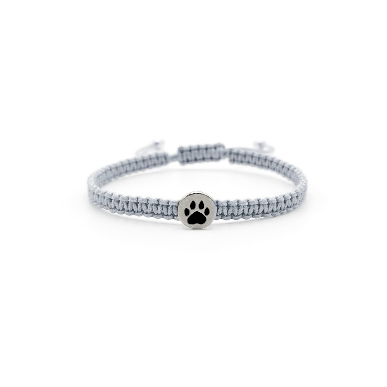 Imagen de diapositiva