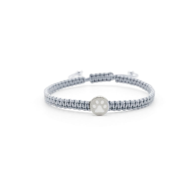 Imagen de diapositiva